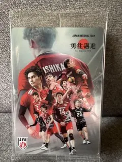 男子バレー 日本代表 ウエハース　　スペシャルカード　集合A
