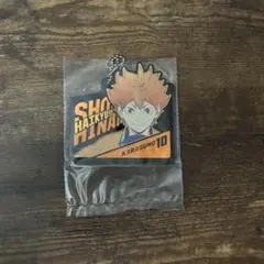 ハイキュー 日向翔陽 ラバーチャーム