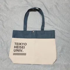 ♥ 테이쿄 헤이세이대학테이쿄 소울 테이쿄 헤이세이 유니버시티 토트백
