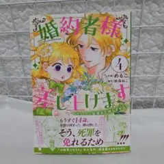 婚約者様差し上げます : ヒロイン登場まで待ちません. 4