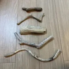 パルダリウム・多肉植物・DIY向け 天然　流木　セット（5本）