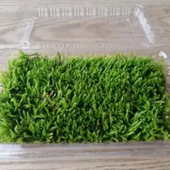 Mana様 リクエスト 2点 まとめ商品