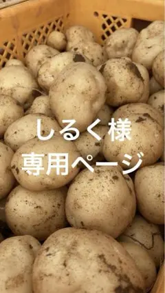 しるく様　専用ページ