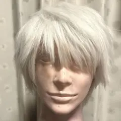 2026年最新】カリム ウィッグの人気アイテム - メルカリ