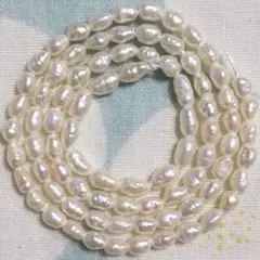 Item thumbnail for item f69ec4f7-a231-4fa1-b456-63edc9b70889