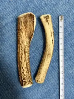 天然鹿の角 犬用ガム 犬用おもちゃ 2本セットのサムネイル
