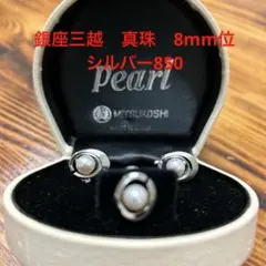 2026年最新】SILVER 850 タイピンの人気アイテム - メルカリ