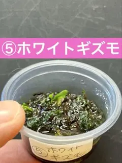 速達❣️勇次郎様 リクエスト 5点 まとめ商品