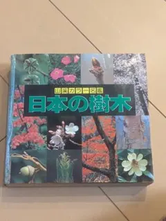 Item thumbnail for item 81833390-8a8c-49ef-bf48-0ddf7961371b