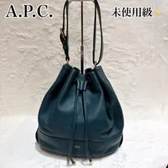 【未使用級】アーペーセー 巾着 ハンドバッグ エメラルドグリーン ショルダー 未使用級】アーペーセー 巾着 ハンドバッグ エメラルドグリーン