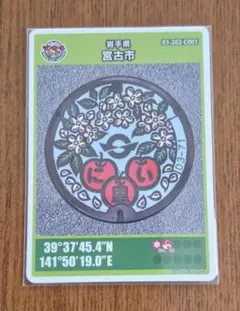 初期ロット 愛知県 みよし市 マンホールカード - メルカリ