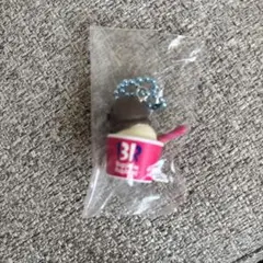 即購入⭕️ サーティワン アイスクリーム キーホルダー