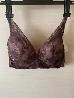 夢みるブラDeepVブラジャーAMST1540 アップルブロッサム　D70