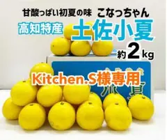お試し♪高知特産 土佐小夏 サイズおまかせ 約2kgのサムネイル