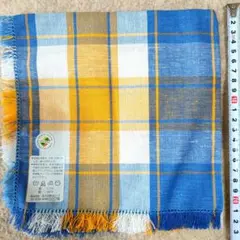 Item thumbnail for item d9ecbfb3-8f92-434a-8b55-69c6ce4f26db