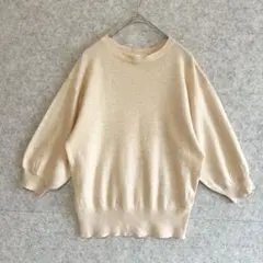 【テチチ】 ボリュームスリーブ 薄手 ニット カットソー プルオーバー (F)