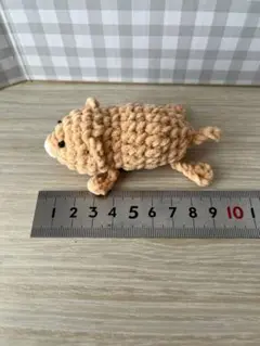 ハダカデバネズミあみぐるみ