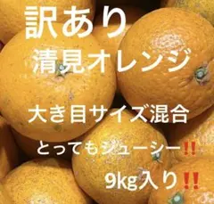 有田みかん　純宝丸　訳あり清見　 9㎏〜10㎏入り