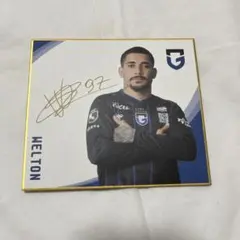 ガンバ大阪　シークレットミニ色紙　ウェルトン選手