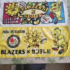 堺ブレイザーズ バレーボール