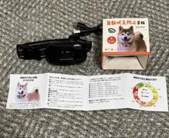 Item thumbnail for item 3ed94960-60a3-4e30-9cab-edde1c80b9af