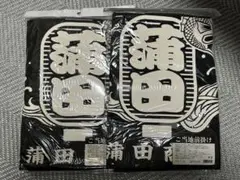 Item thumbnail for item a23de59c-d5ca-4edc-95df-ae79a678728e