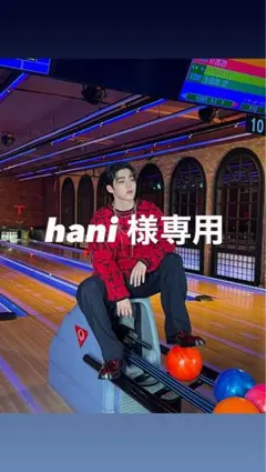 hani様専用 SEVENTEEN エスクプス うちわセット