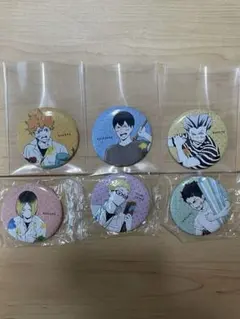 ハイキュー‼︎ ペイントスーツ缶バッチ