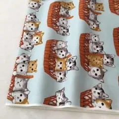 Item thumbnail for item 3d8f5489-b591-44f2-a7d3-d13e4946822c