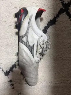 2025年最新】モレリアネオ4 25.5の人気アイテム - メルカリ