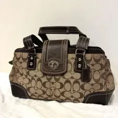 COACH コーチ ハンプトンズ キャリーオール F13975