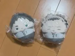 ハイキュー くじメイト ぬいくじ D賞 ふわコロりん 木兎光太郎 赤葦京治