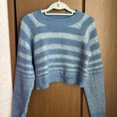 ボーダー　ニット　ブルー ZARA ショート丈