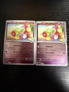 SEiN様 リクエスト 2点 まとめ商品