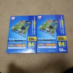 Item thumbnail for item 22f554fe-7d7e-40d8-84f9-128fdc942ccb