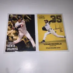 プロ野球チップス　福岡ソフトバンクホークス