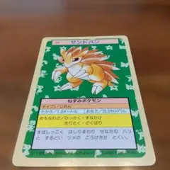 トップサン サンドパン ポケモンカード 裏面緑