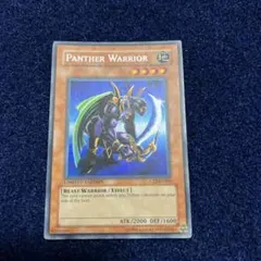 出展数ゼロ 希少 ワンオーナー Panther Warrior ct2