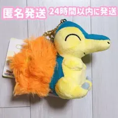 ③ポケモン COLLECTION マスコットキーホルダー ぬいぐるみ ヒノアラシ