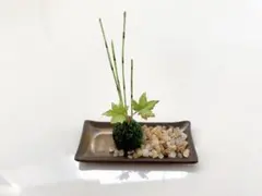 Item thumbnail for item 67efd419-8253-490a-9a16-27e058c21944