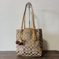 COACH ハンドバッグ シグネチャー キャンバス ブラウン 6090