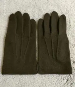 Item thumbnail for item 4a69048c-ba88-4cc3-84d3-7ff011b30881