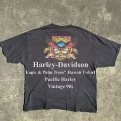 90s ハーレーダビッドソン Waikiki,Hawaii イーグル T 2XL
