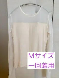 Item thumbnail for item 0385b43f-bd89-44c2-9b20-710f3bbf1ecf