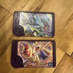 ポケモンフレンダ　ベストタッグ第3弾　ザマゼンタ　リザードン　2枚セット