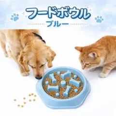 빨리 먹는 예방 강아지 고양이 사료 그릇 질식 예방 소화불량 건강 관리 다이어트 애완동물