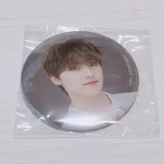 SEVENTEEN ディノ 缶バッジ・キーホルダー類まとめ売り 2025年最新】seventeen ディノ 缶バッジの人気アイテム - メルカリ