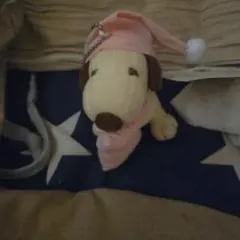 Item thumbnail for item c1797cbb-d8e8-4aa7-ac74-3130d5dbec10