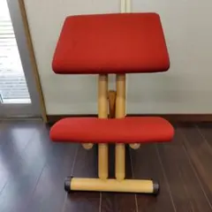サカモトハウス バランスチェアイージー レッド 専用カバー付き - メルカリ