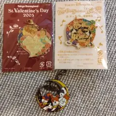 【非売品】 ディズニーランド チャーム2種 ピンズ1種